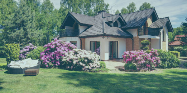 Budowa domów
